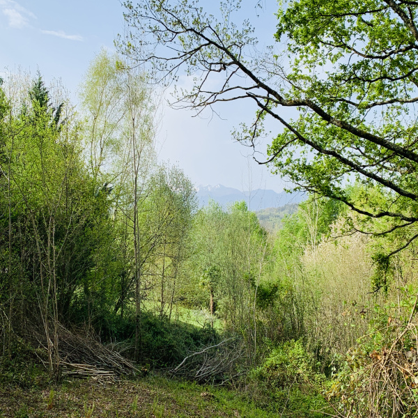 Offres de vente Terrain Jurançon 64110