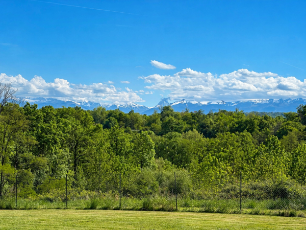 Offres de vente Terrain à batir Lescar 64230